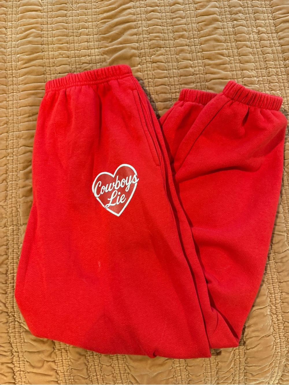 Boys Lie x nuuly Sweatpants